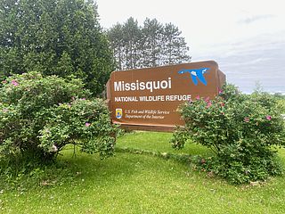 Ken Strum / Friends of the Missisquoi National Wildlife Refuge